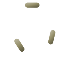 Enterococcus Bacteria 
