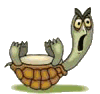 Turtle Trouble