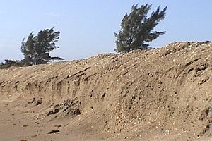 effects of severe tidal erosion will be reversed by project