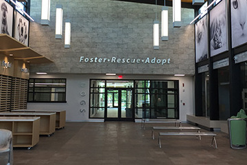 Broward County Animal Care and Adoption Center