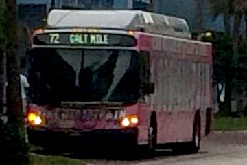 Route 72 Bus on Galt Ocean Drive