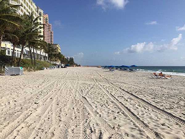 Post-construction conditions near Pelican Grand (April 2016)
