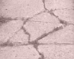 Cracked Aggregate is Serious Tripping Hazard