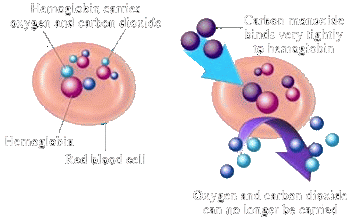 Click to carboxyhemoglobin Information