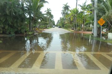 Seasonal Street Flooding in Fort Lauderdale