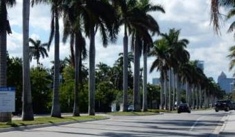 1,900 linear feet of 12-inch sewer main under canals and streets intersecting with Las Olas Boulevard