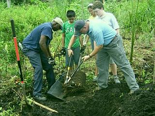Anything Grows in Snyder Park's Supersoil
