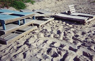 False Crawl by Beach Furniture - AKA Coastal Armoring