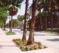 GMCA Presidents Council Chair Pio Ieraci's Plan to Spruce up the Galt