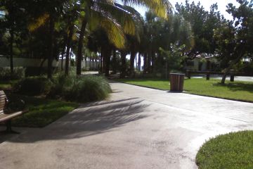 Earl Lifshey Ocean Park