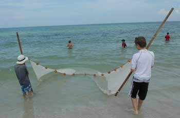 Large Nets Violate County Law
