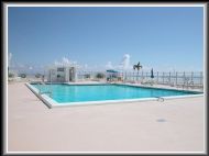 Ocean Club Roof Pool