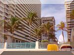 Beach View