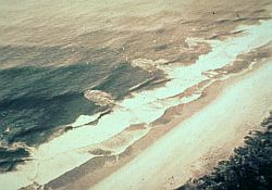 Multiple Rip Currents