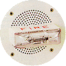 Voice Evacuation System with Strobe