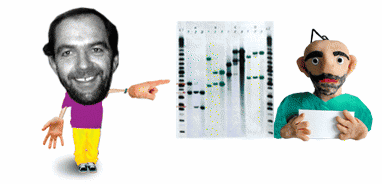 Representative Bogdanoff offers DNA bill to Ascertain Guilt or Innocence
