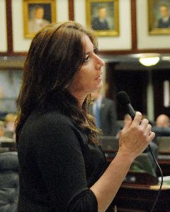 Representative Ellyn Bogdanoff and Coral Springs Democrat Ari Porth file House Bill 1425
