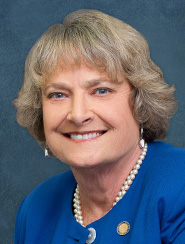 District 28 Senator Nancy Detert