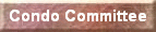 The Select Committee on Condominium Association Governance