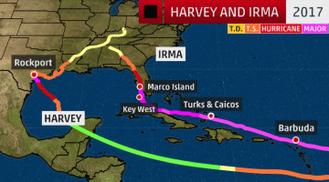 Click Here to Fort Lauderdale Debris Collection