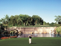 Nationally Famous #3 Waterfall Hole